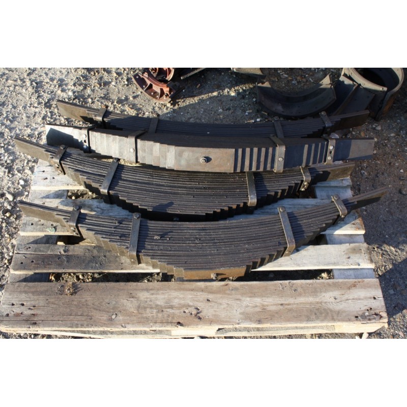 Pero zadné, 19 - listové