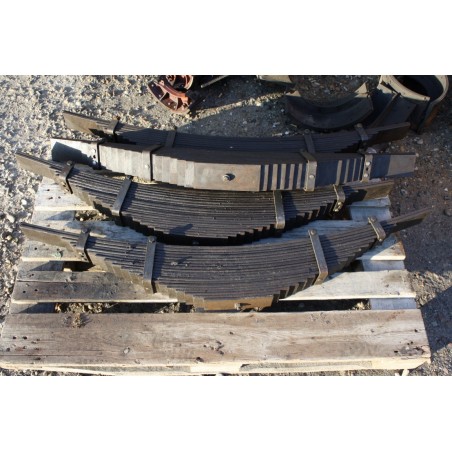 Pero zadné, 19 - listové