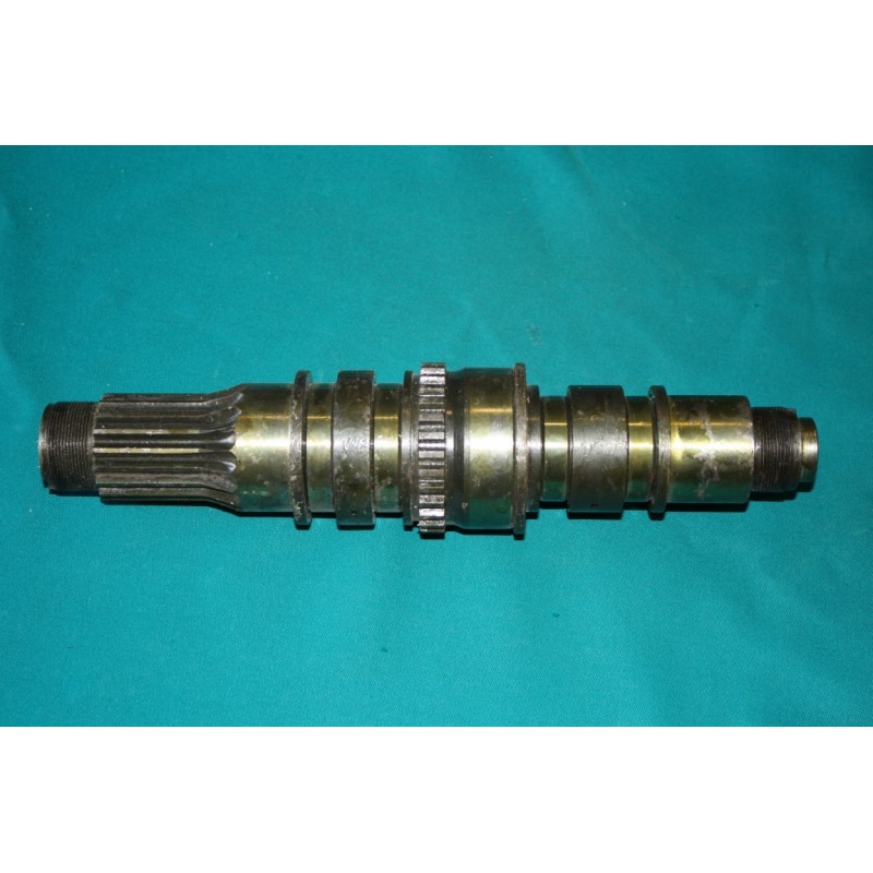 Hriadel zostupu hnacia - kaplička