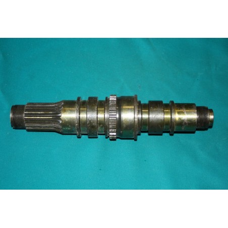 Hriadel zostupu hnacia - kaplička