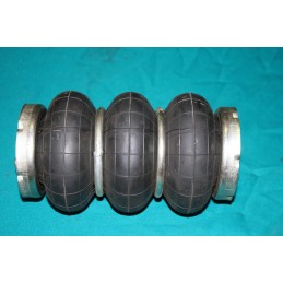 Vlnovec sedačky - RUBENA