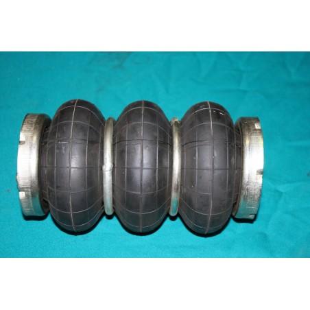 Vlnovec sedačky - RUBENA