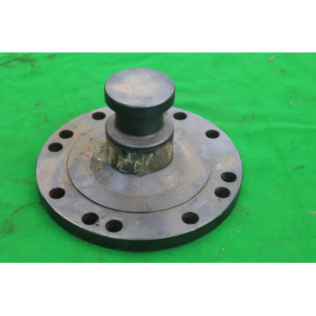 Čap kráľovský návesu