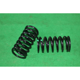 Pružina ventilu 4,25 Tatra Euro Orig